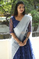 Pallavi Pictures